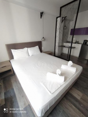 Alkmini Apt